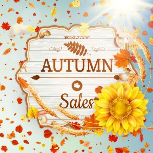 Autumn sale labels with sunflower and leaves background vector 02