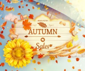 Autumn sale labels with sunflower and leaves background vector 04