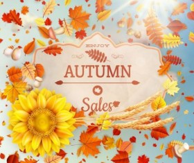 Autumn sale labels with sunflower and leaves background vector 05