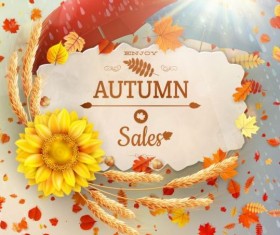 Autumn sale labels with sunflower and leaves background vector 06