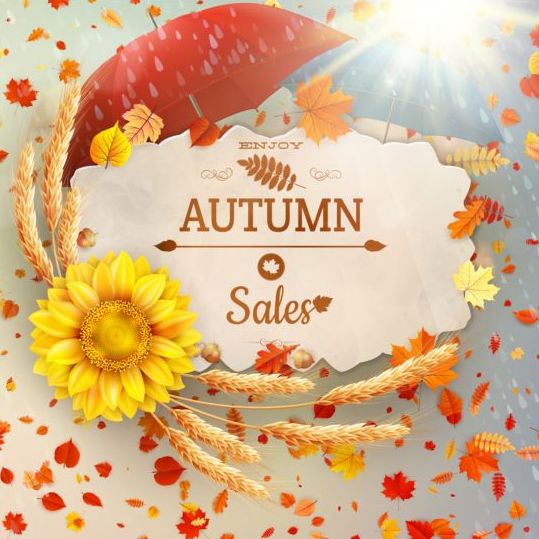 Autumn sale labels with sunflower and leaves background vector 06