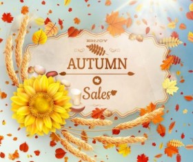 Autumn sale labels with sunflower and leaves background vector 07