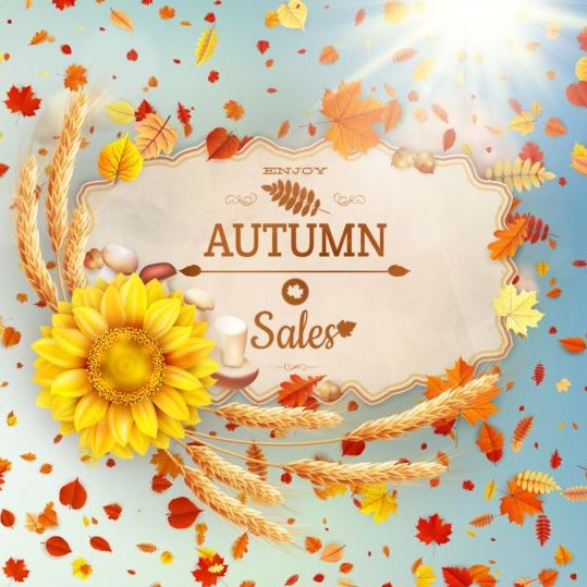 Autumn sale labels with sunflower and leaves background vector 07
