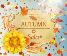 Autumn sale labels with sunflower and leaves background vector 09