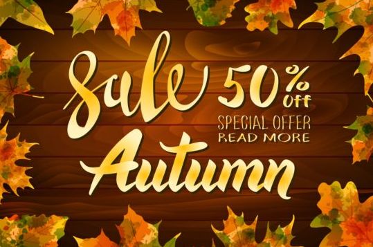 Autumn sale with wooden background and leaves vector 01