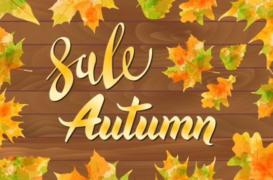 Autumn sale with wooden background and leaves vector 02