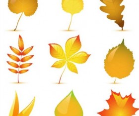 Beautiful autumn leaves vector set