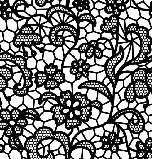 Beautiful lace black pattern vector 04