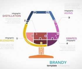 Brandy infographics template vector