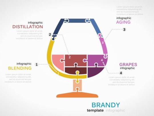 Brandy infographics template vector