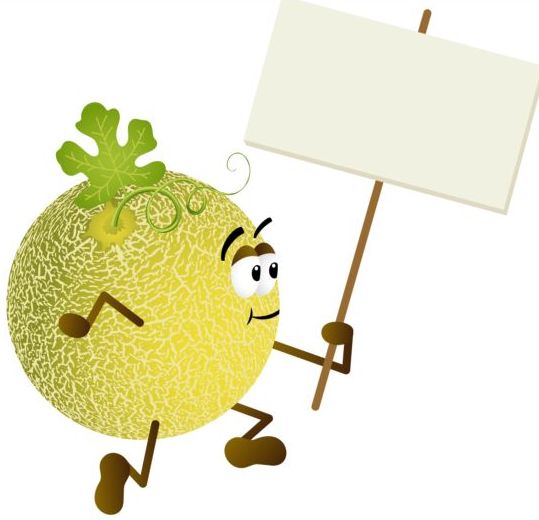 Cantaloupe melon holding blank signboard vector