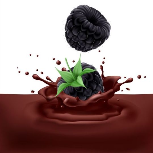 Chocolate splash with ripe berries vector background