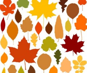 Colorful autumn leaves vectors 02
