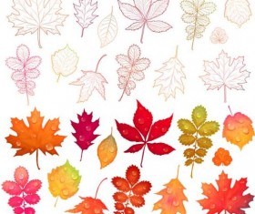 Colorful autumn leaves vectors 03