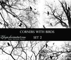 Corners with Birds PS Brushes