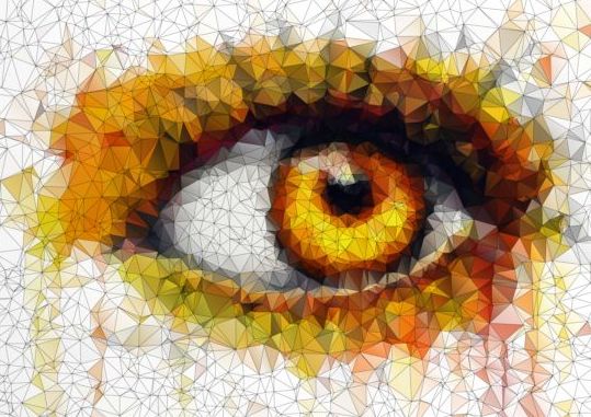 Eye with geometric shapes background vector 10