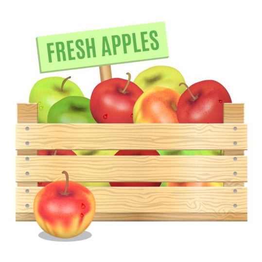 Fresh apples poster vector 02