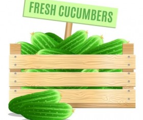 Fresh cucumber poster vector design