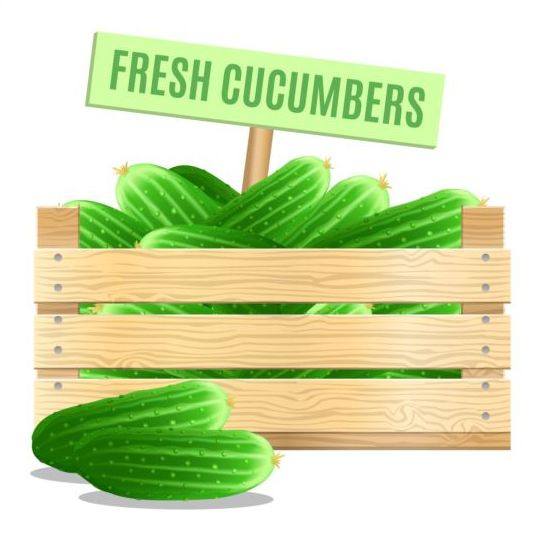 Fresh cucumber poster vector design