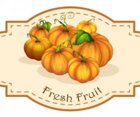 Fresh fruit vintage label vector material