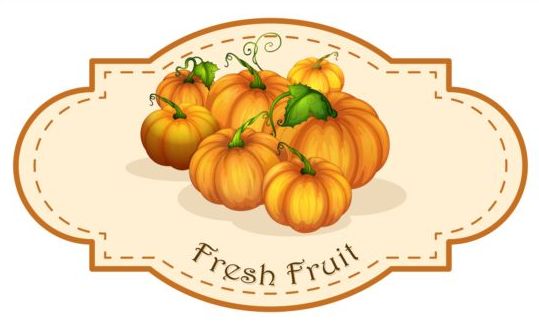 Fresh fruit vintage label vector material