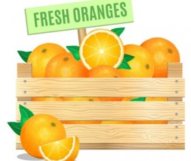 Fresh orange poster vector