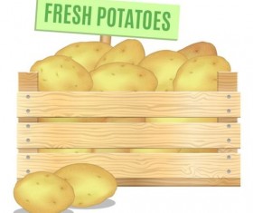 Fresh potatoes poster vector design