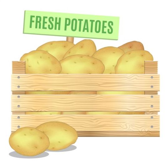 Fresh potatoes poster vector design