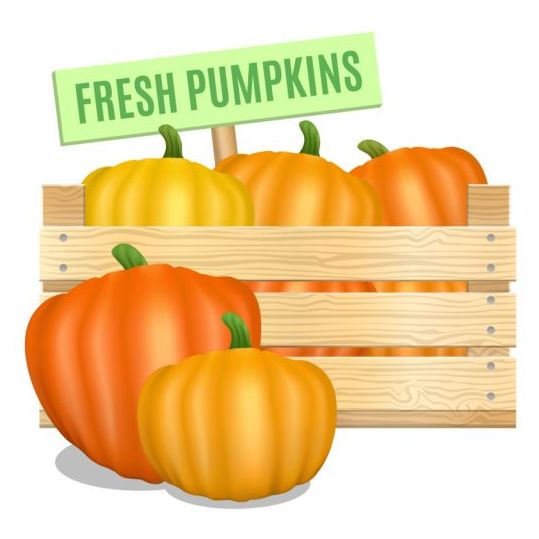 Fresh pumpkins poster vector design