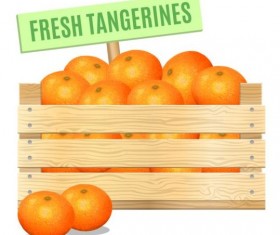 Fresh tangerines poster vector