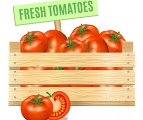 Fresh tomato poster vector design