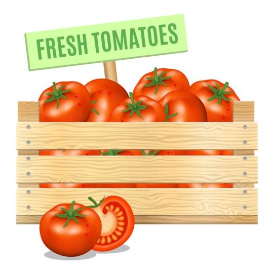 Fresh tomato poster vector design