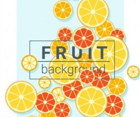 Fruit background with oranges vector