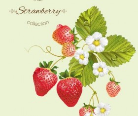 Fruit tea with strawberry background vector 03