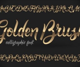 Golden fonts vector