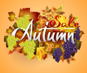 Grape with leaves autumn background vector