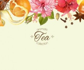 Herbal tea vintage background vector 01