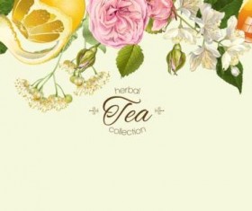 Herbal tea vintage background vector 02