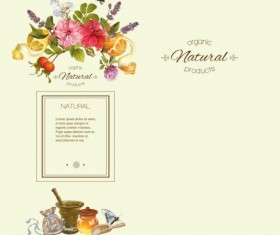 Herbal tea vintage background vector 03
