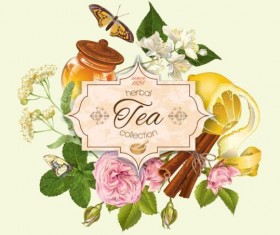 Herbal tea vintage background vector 05