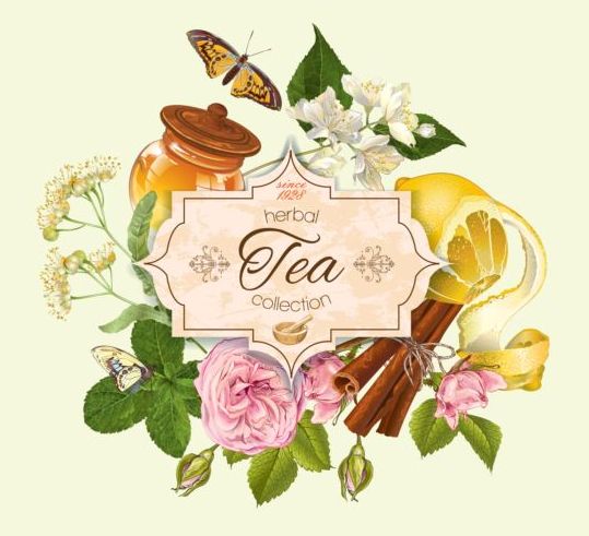 Herbal tea vintage background vector 05