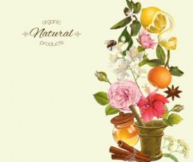 Herbal tea vintage background vector 06