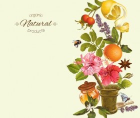 Herbal tea vintage background vector 07
