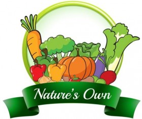 Nature own vagetables label vector