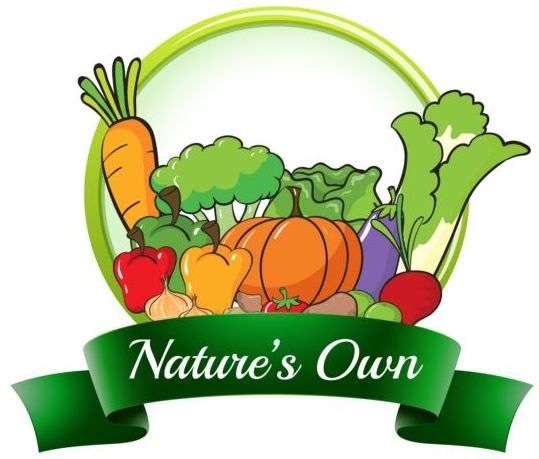 Nature own vagetables label vector