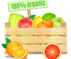 Organic fruit vector design