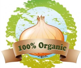 Organic onion vector label