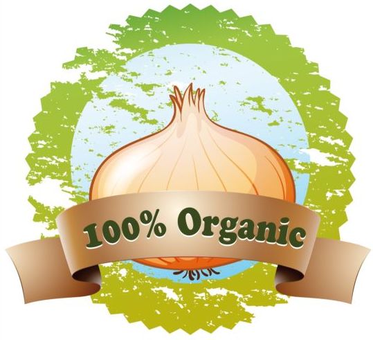 Organic onion vector label