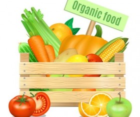 Organic vagetables poster vector design 01