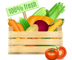 Organic vagetables poster vector design 02